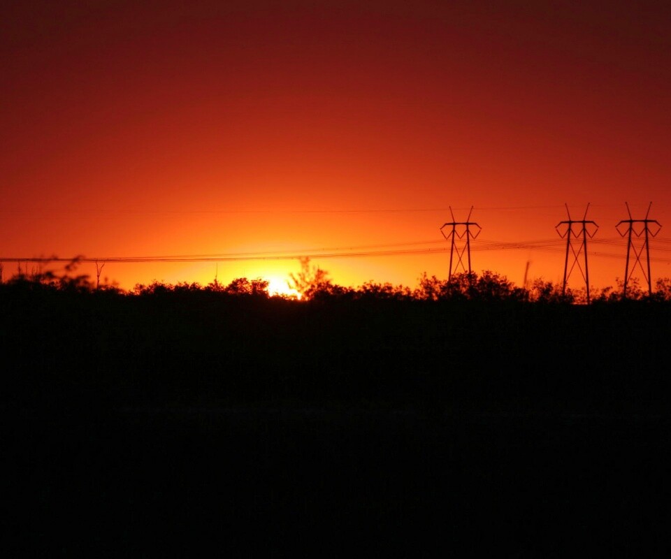 Закат за лесом обои