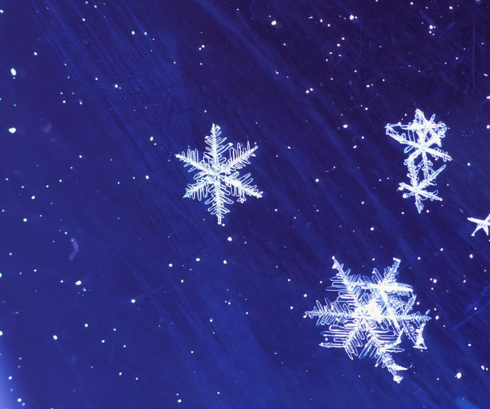 Снежинки обои