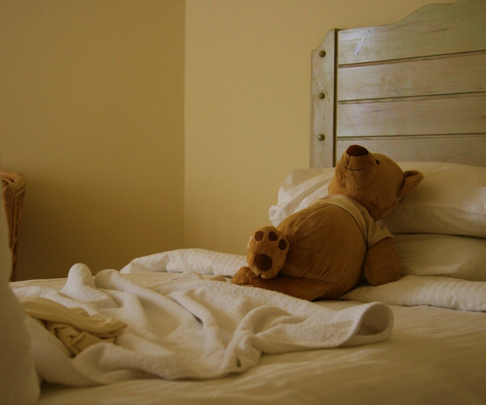 Медвежонок в постели обои