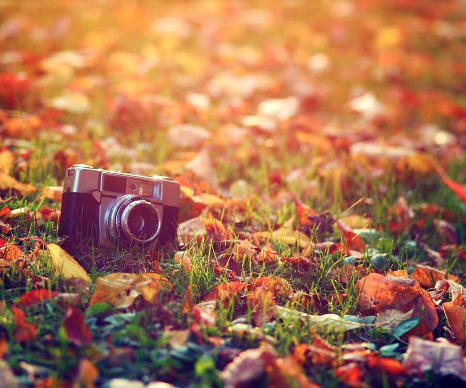 Старый фотоаппарат в траве обои