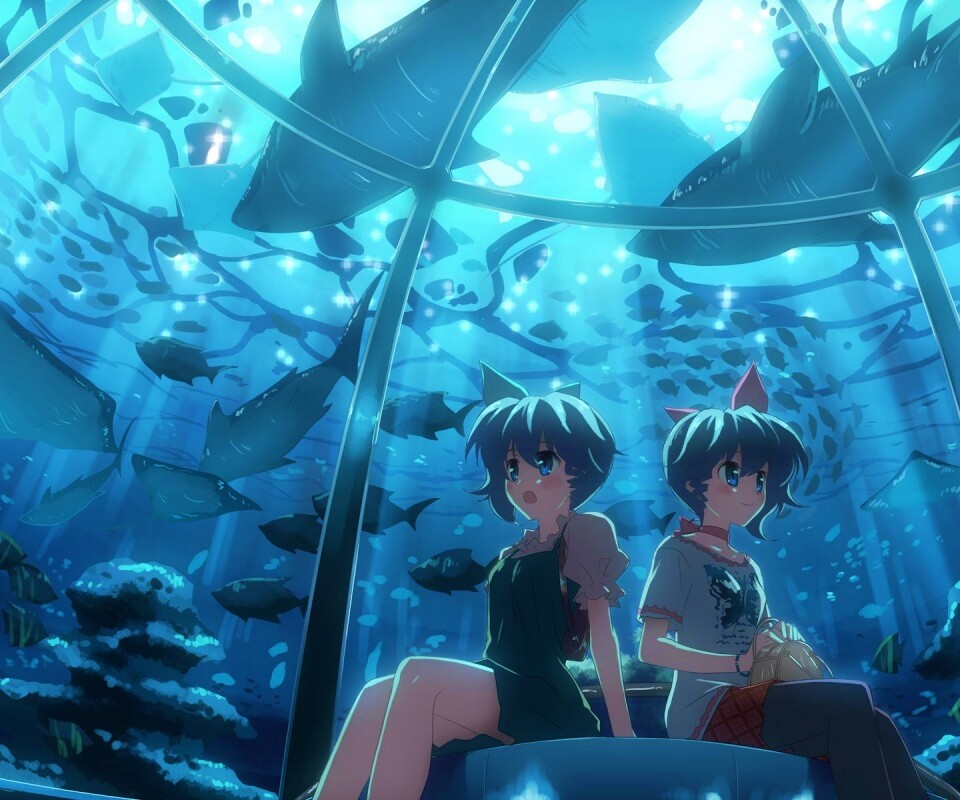В океанариуме обои