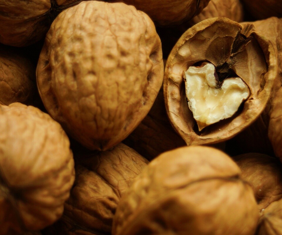 Расколотый орех обои