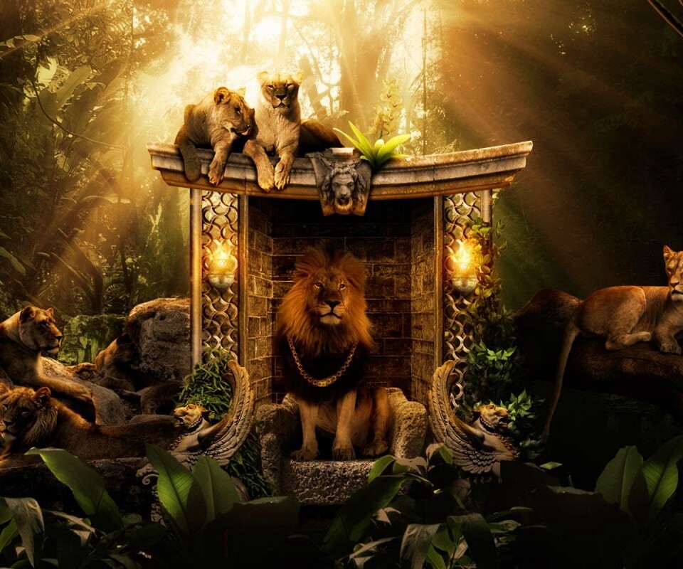 Царь зверей обои