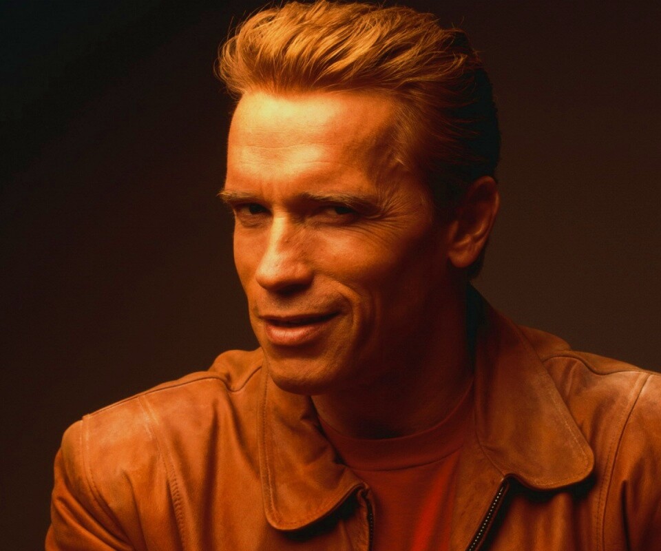 Молодой Арни обои