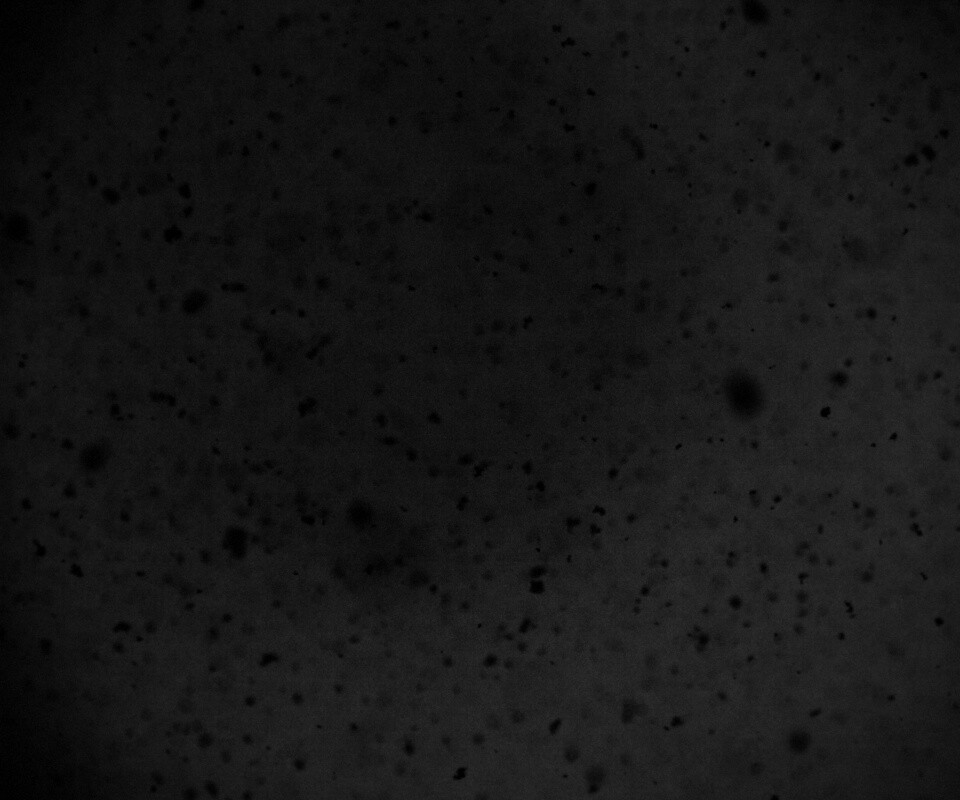 Черные пятна на сером фоне обои