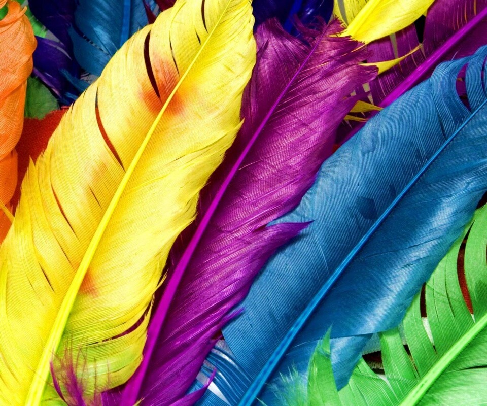 Разноцветные перья обои