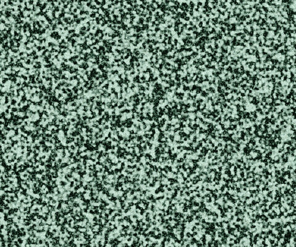 Черно-белый ковролин обои