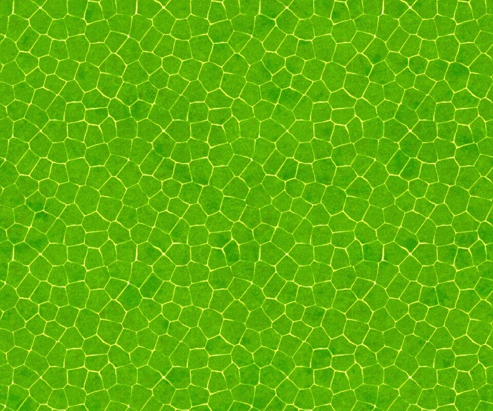 Зелёные сегменты обои