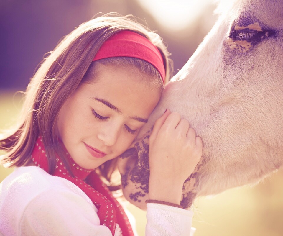 Девочка и лошадь обои