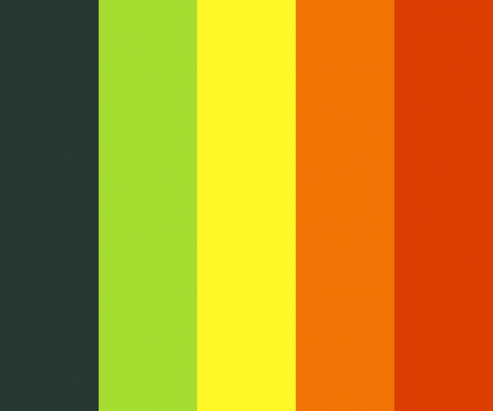 Яркая гамма обои