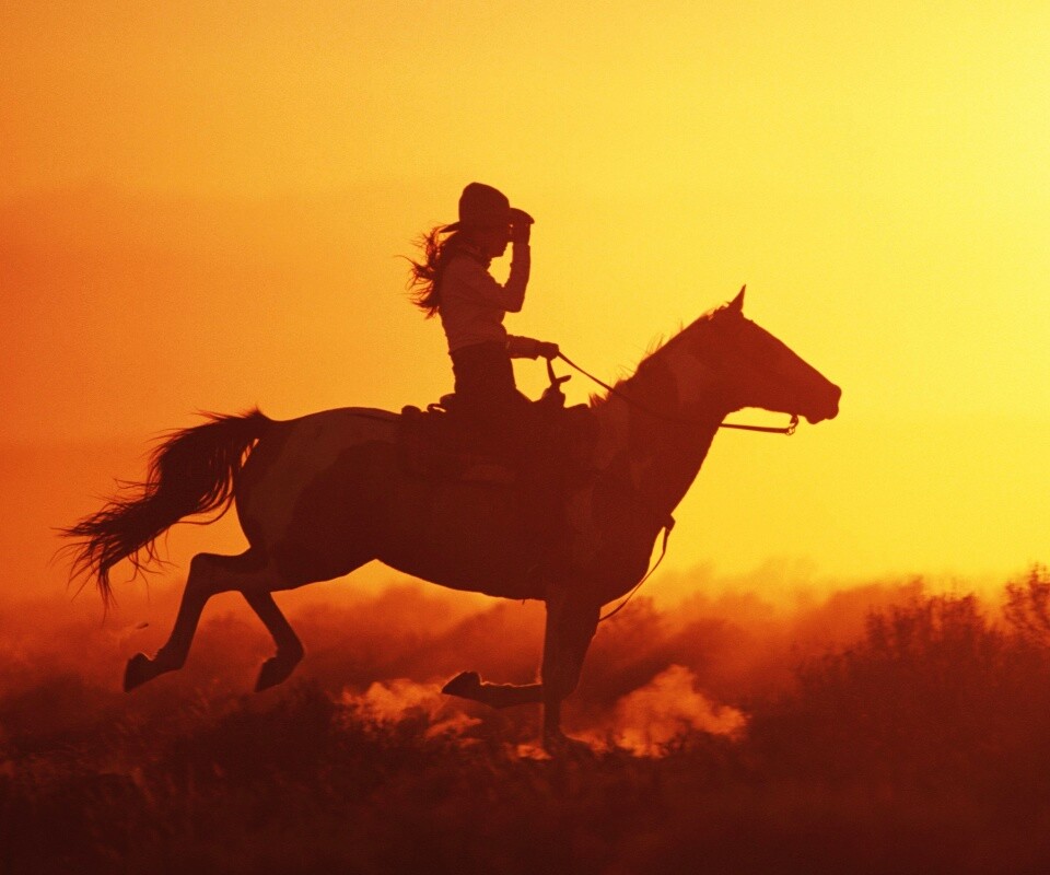 Наездница на закате обои