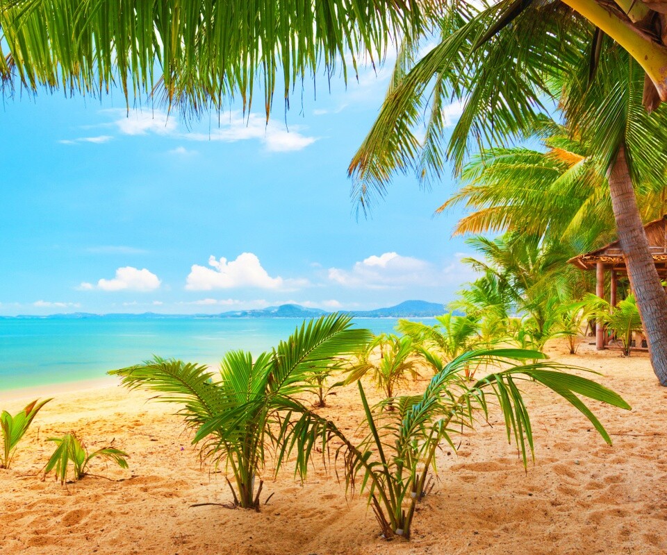 Настоящее лето обои