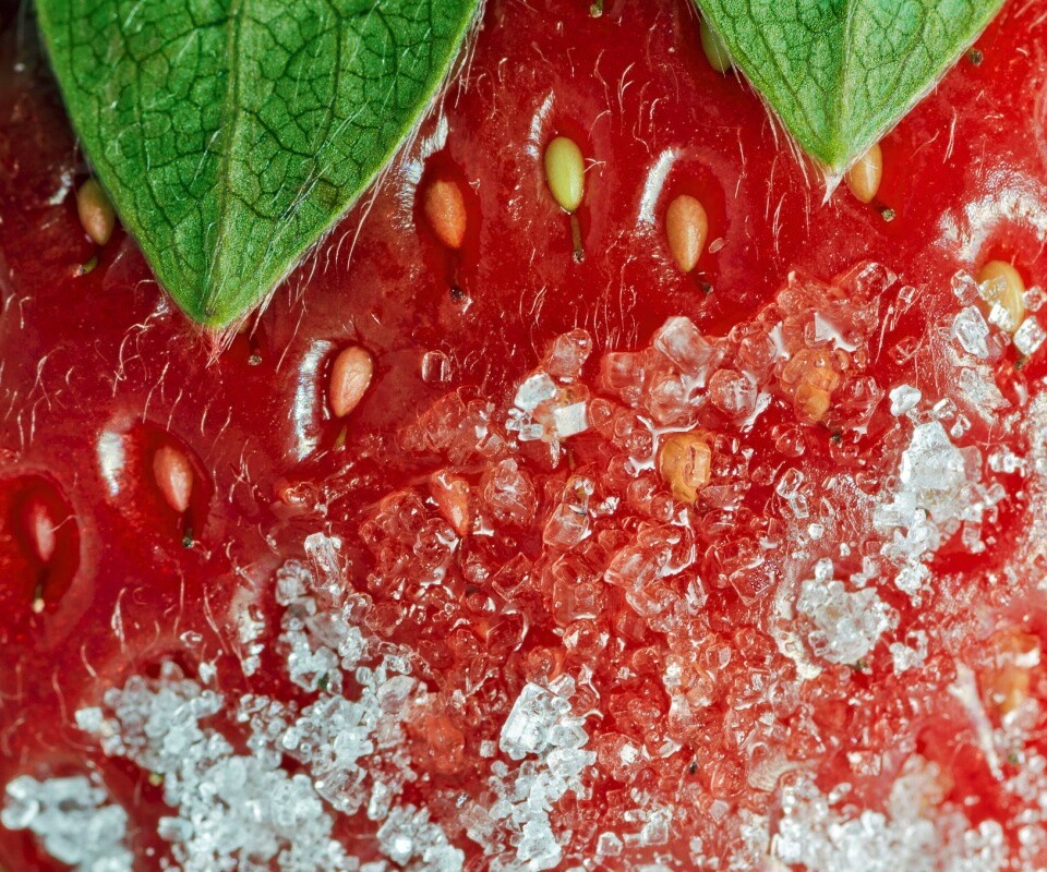 Клубника в сахаре обои