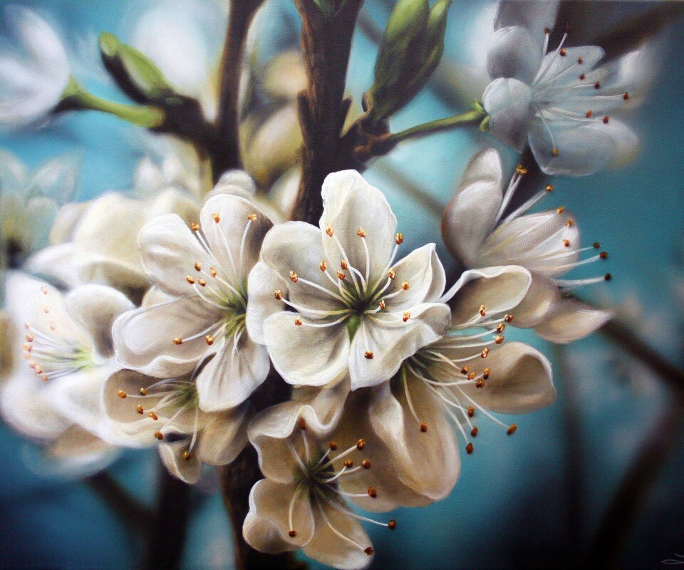 Яблоня в цвету картина обои