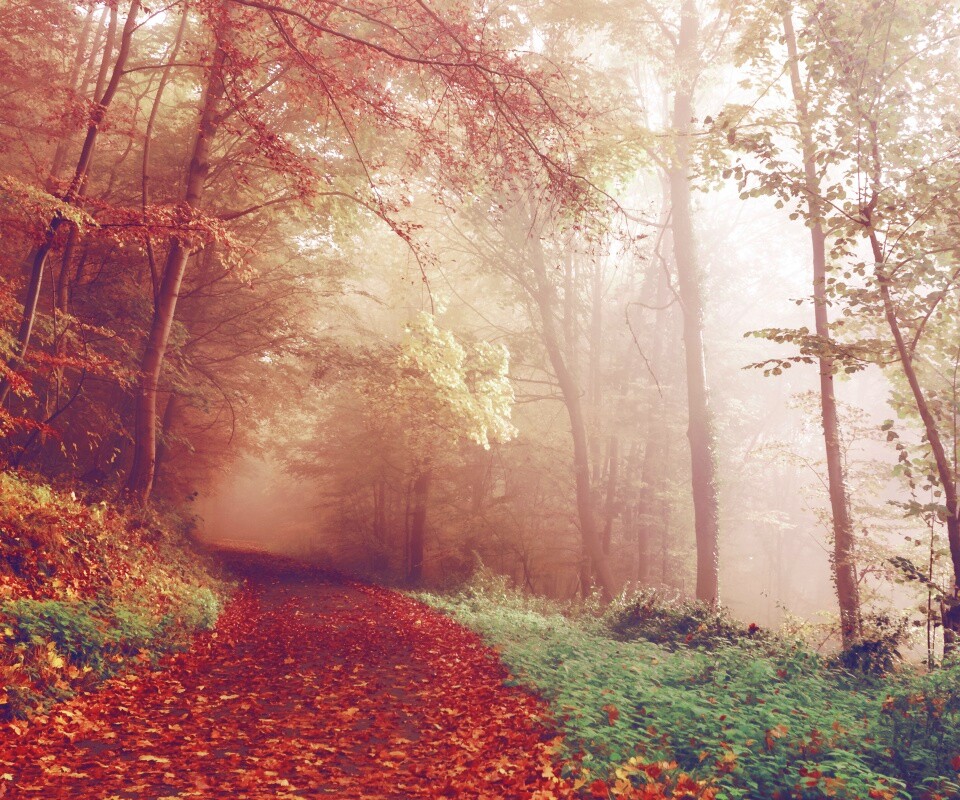 Осенний мистический пейзаж обои