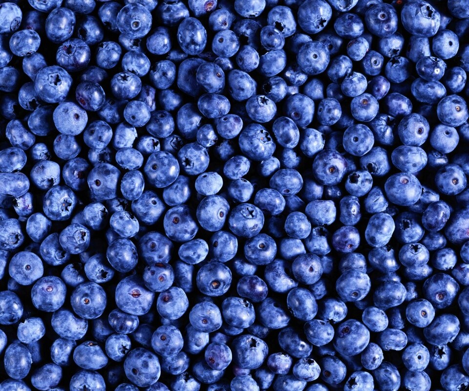 Черника обои