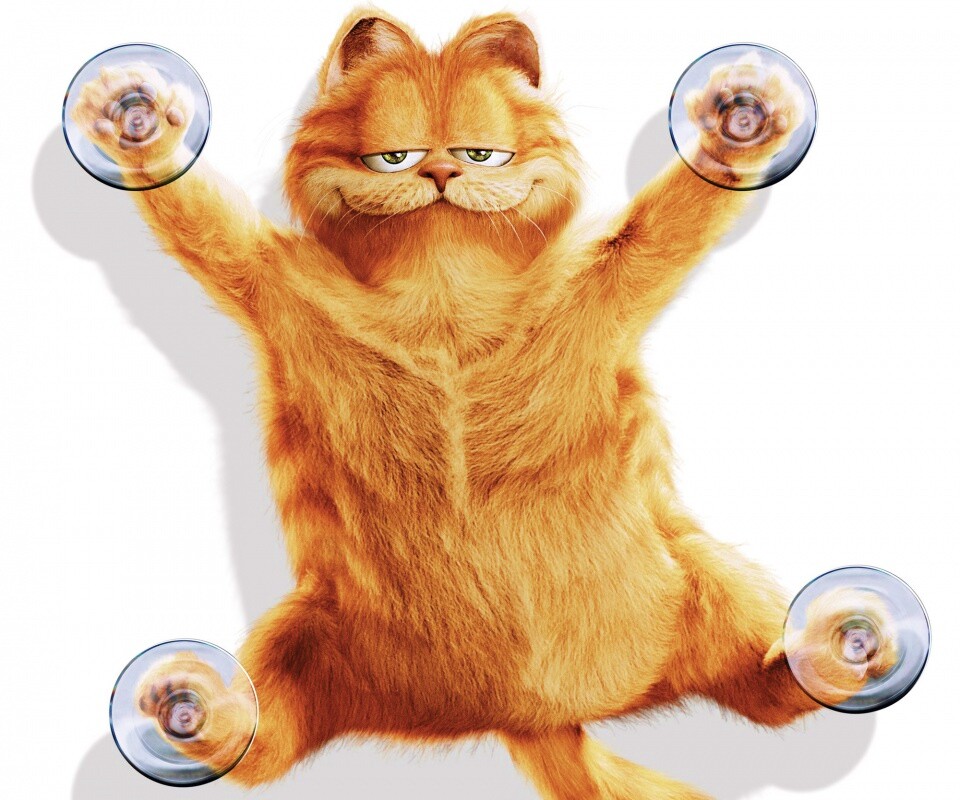 Рыжий проказник обои