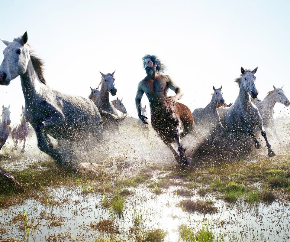 Кентавр обои