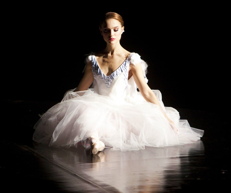 Черный лебедь обои