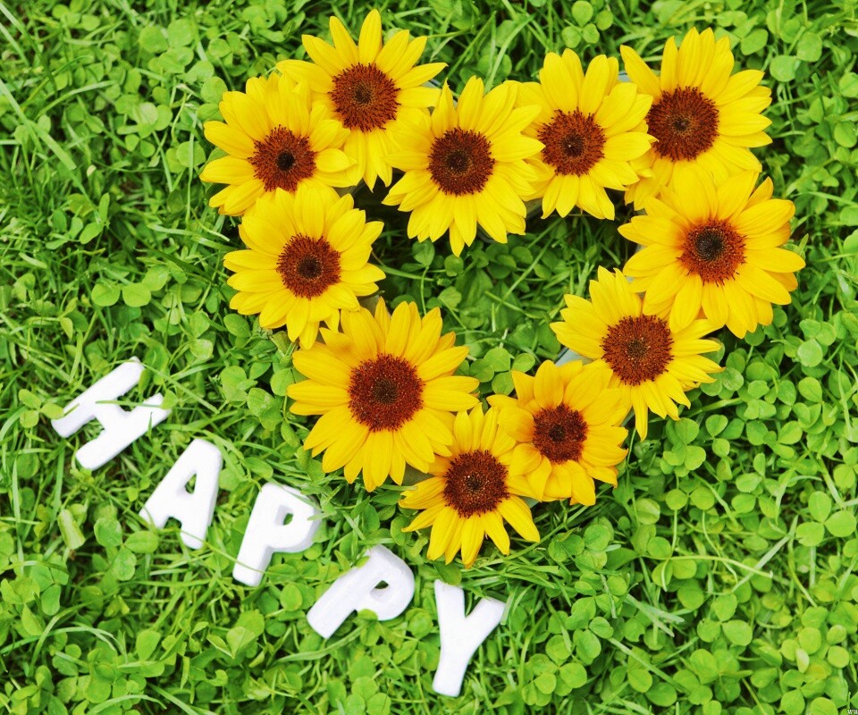 Радость обои