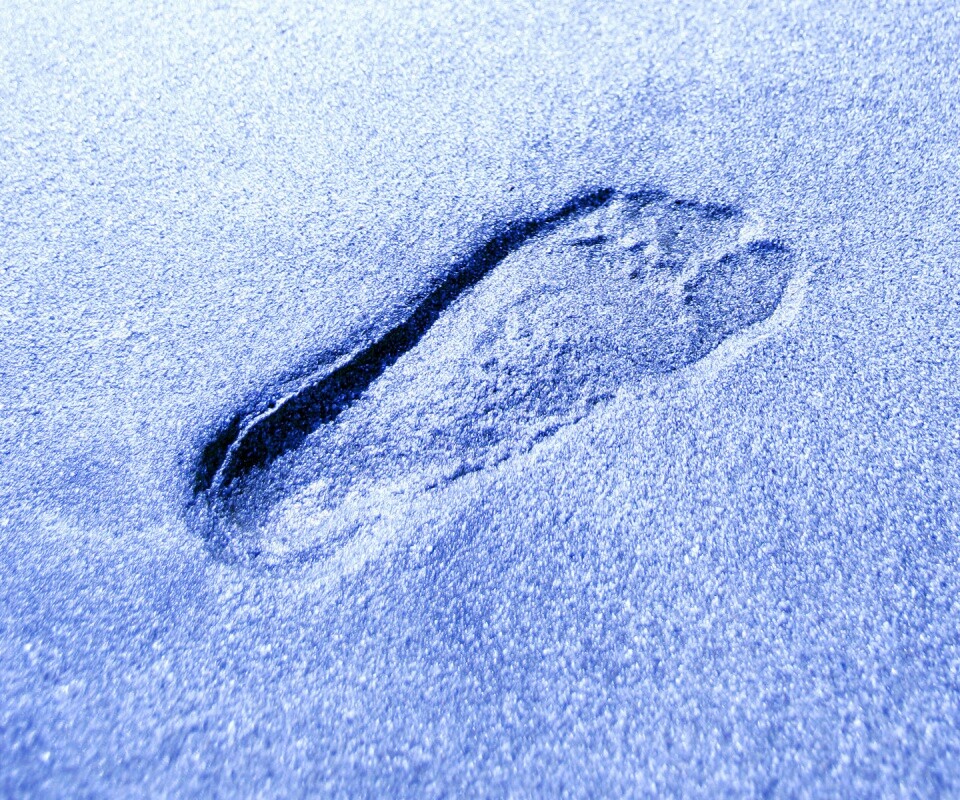Отпечаток ноги обои