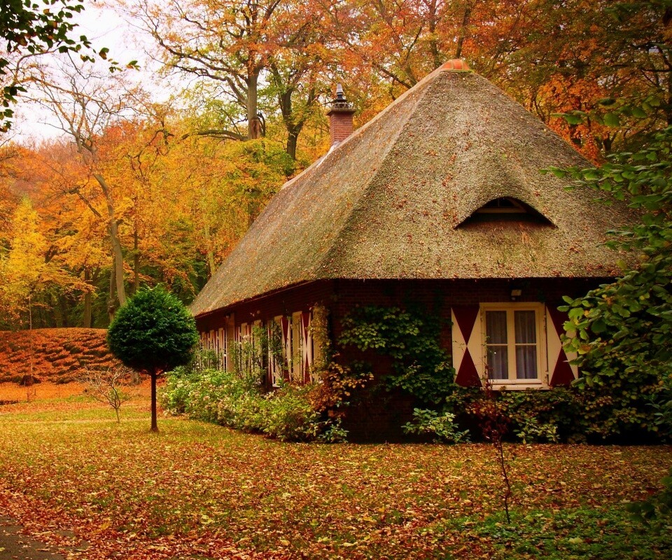 Домик в осеннем лесу обои