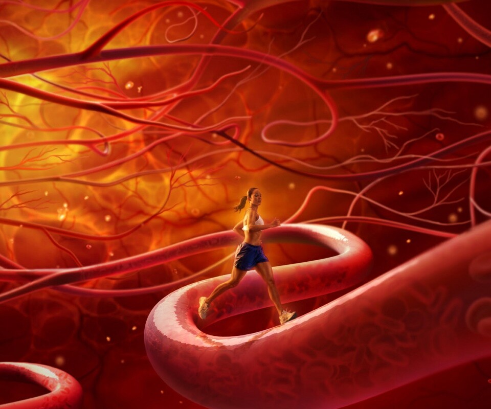 Бег крови обои