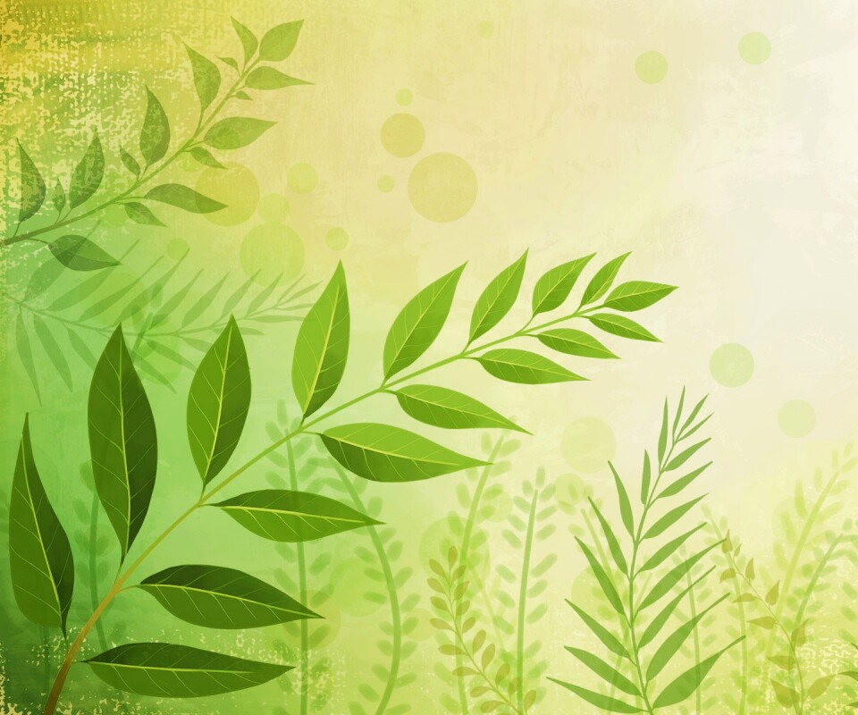 Веточка молодых листьев обои