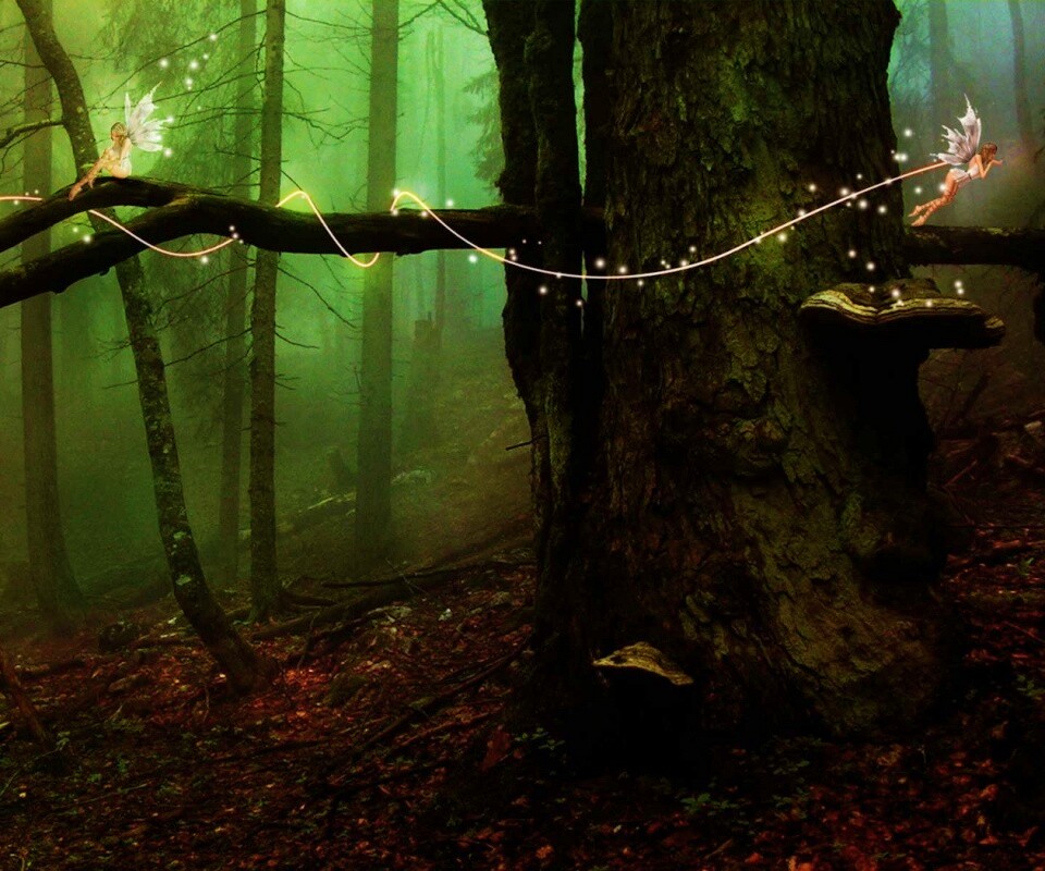 Лесные феи обои