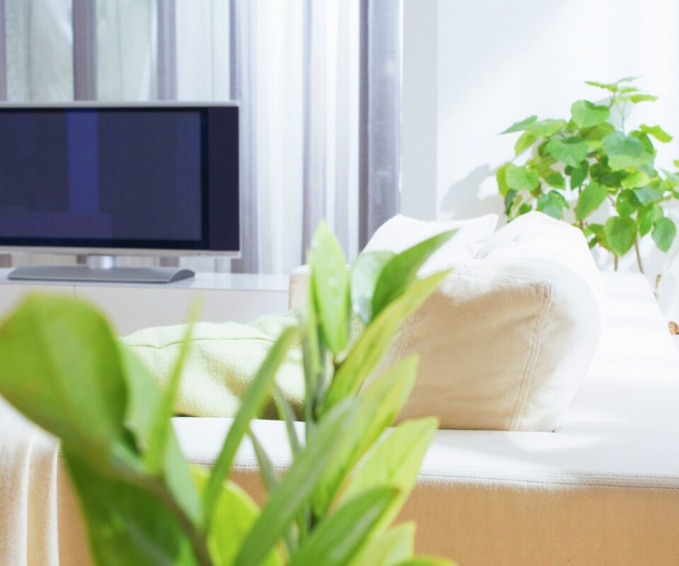 Белая комната обои