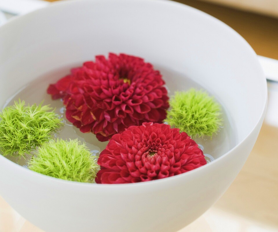 Чаша с цветами обои