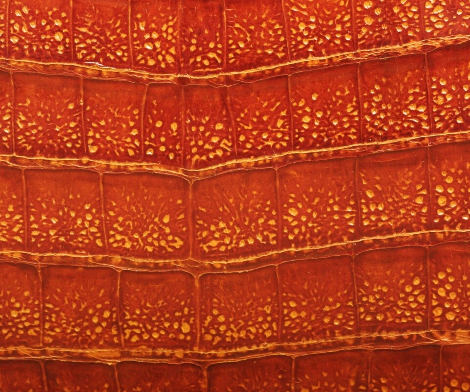 Текстура крокодильей кожи обои