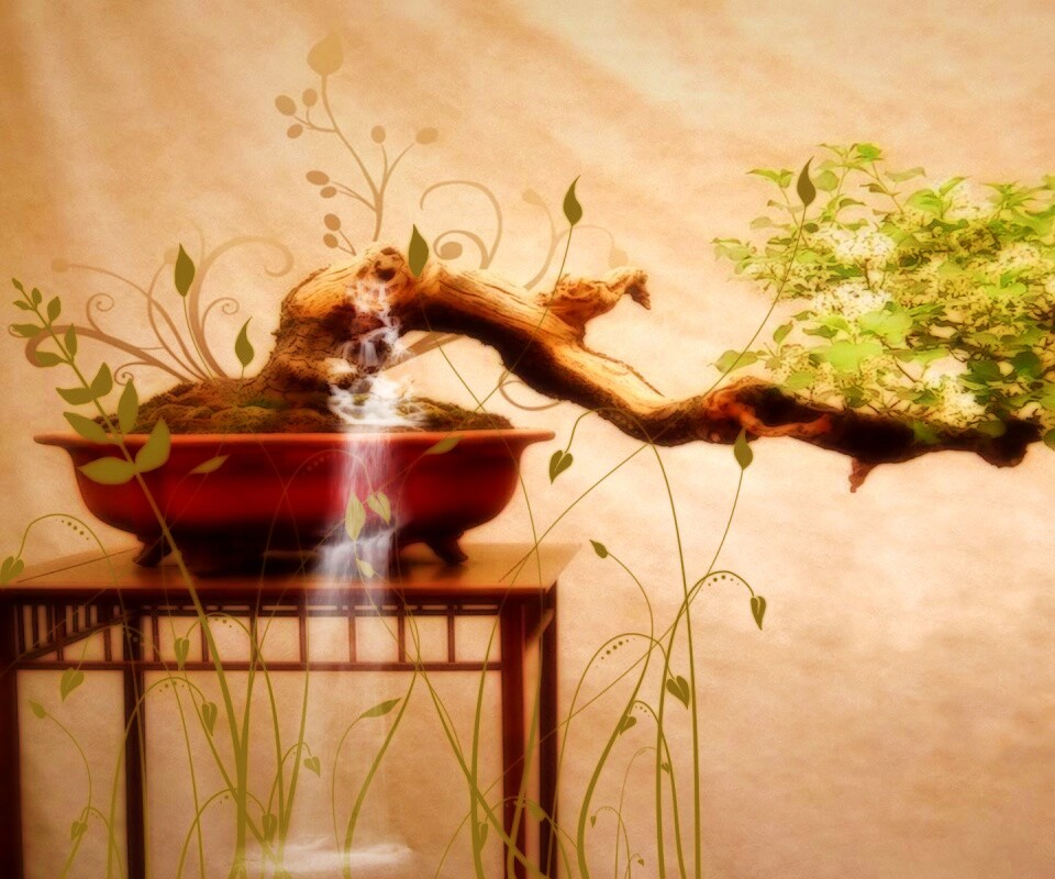 Карликовое дерево обои