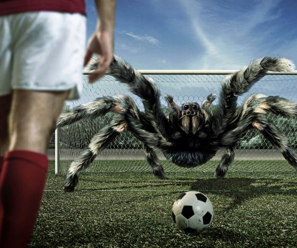 Вратарь обои