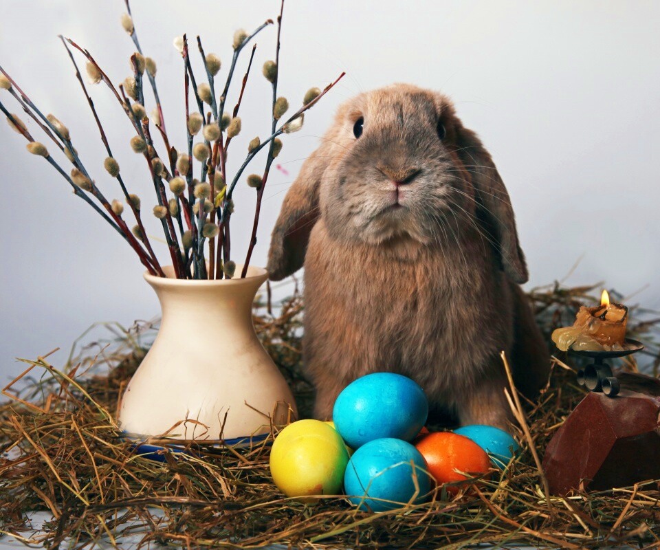 Пасхальный кролик обои
