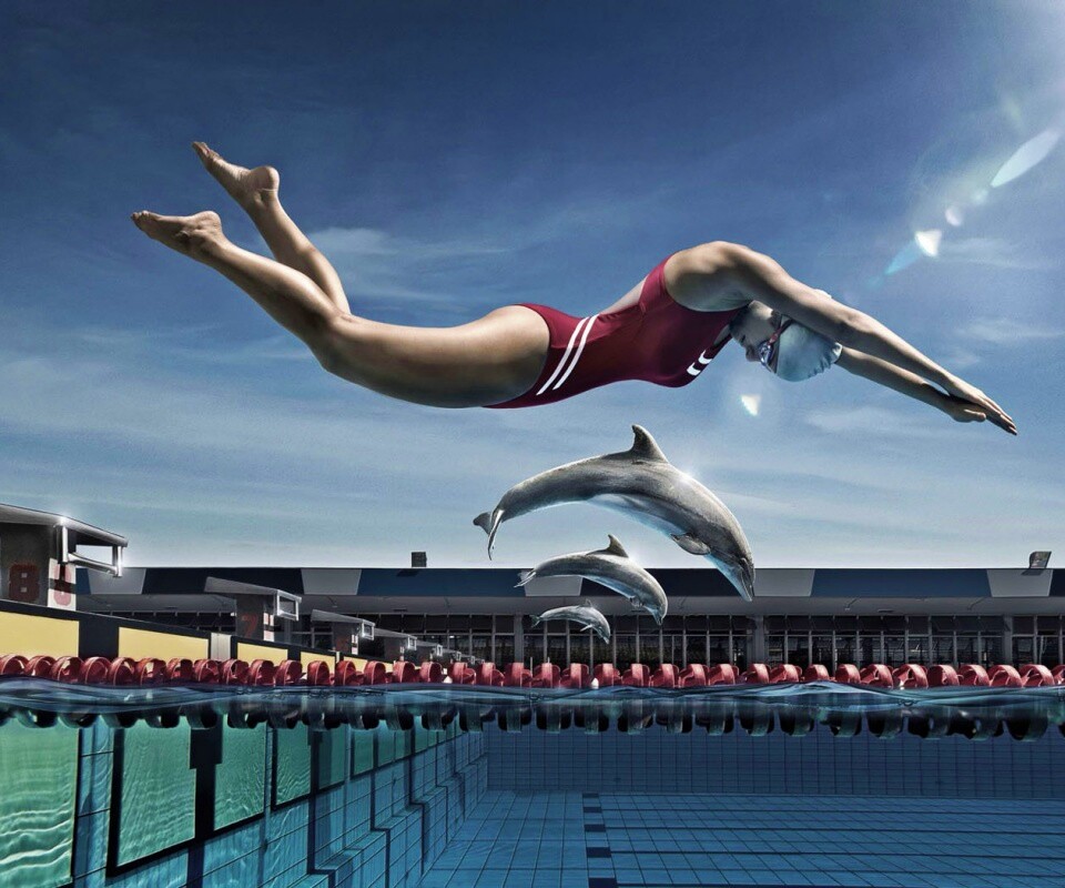 Соревнование обои