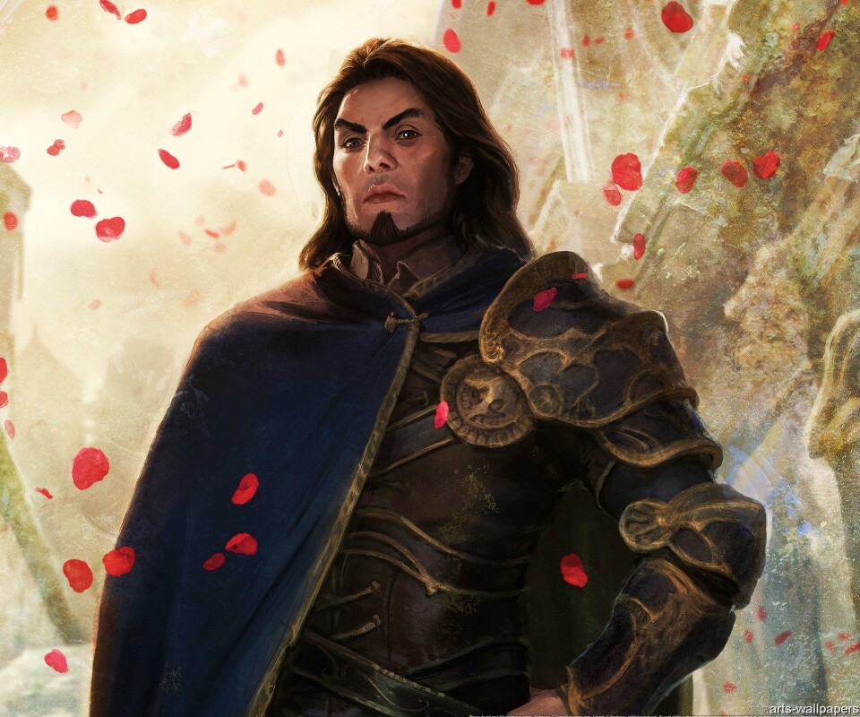 Рыцарь обои