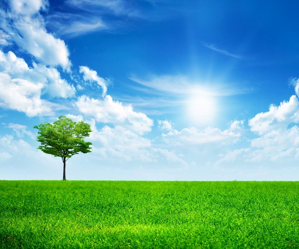 Один в целом мире обои