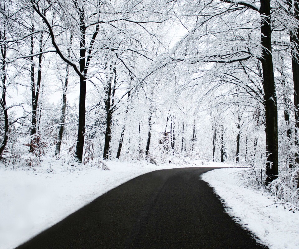 Дорога в зимнем лесу обои