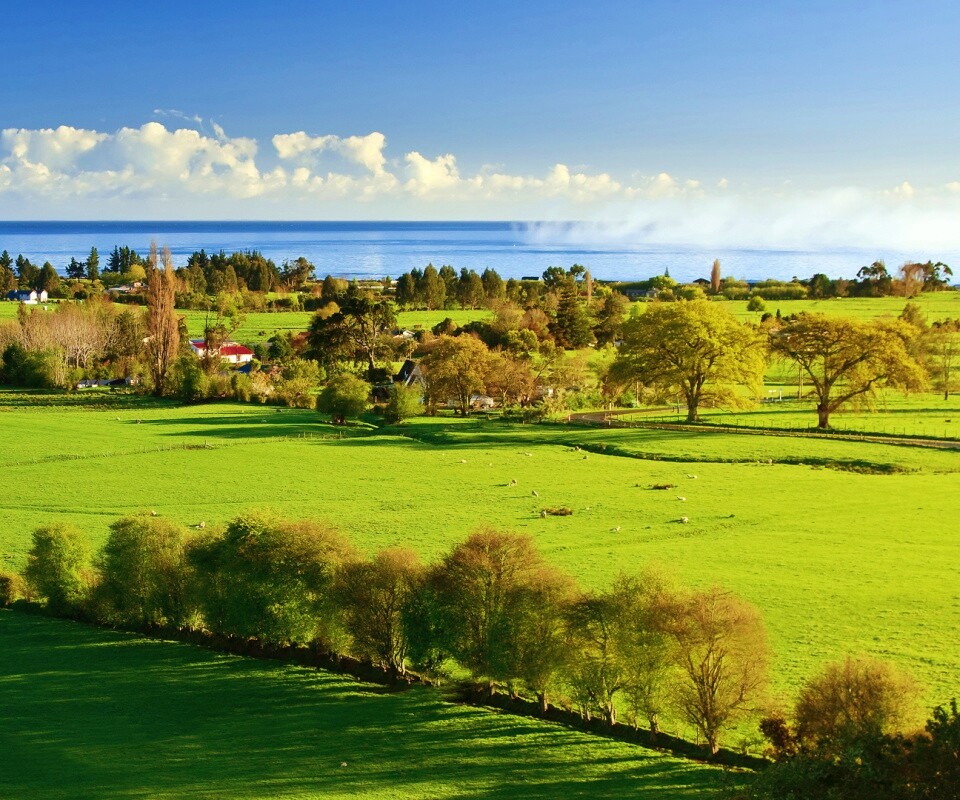 Сельская природа обои