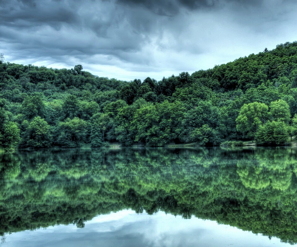 Лесной берег обои