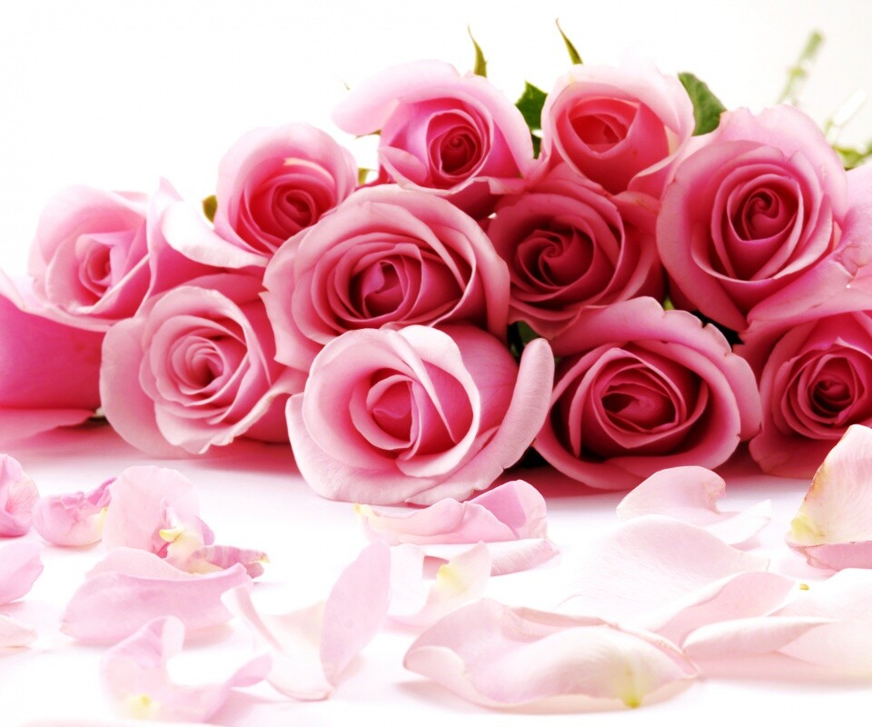 Букет роз обои