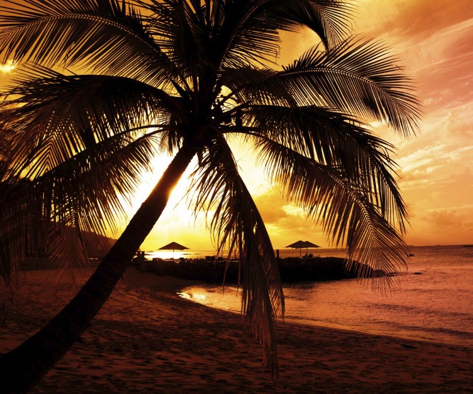 Пляж на закате обои