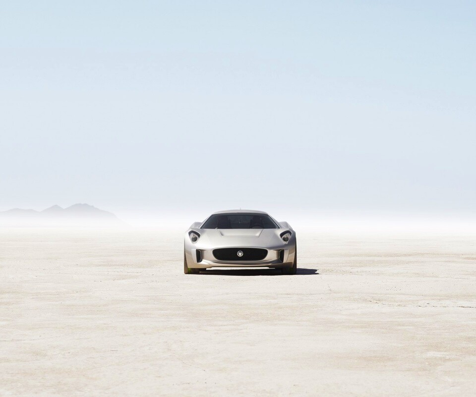 Ягуар подкрадывается обои