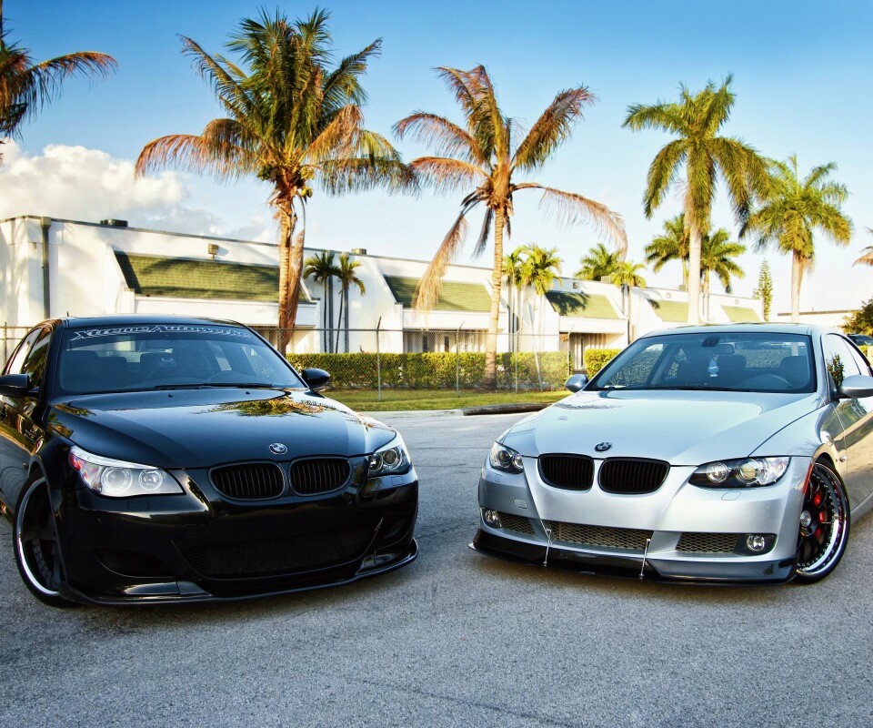 Две БМВ обои