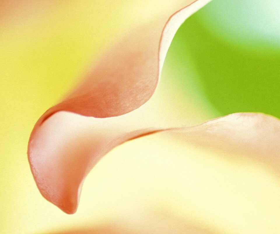 Оттенки природы обои