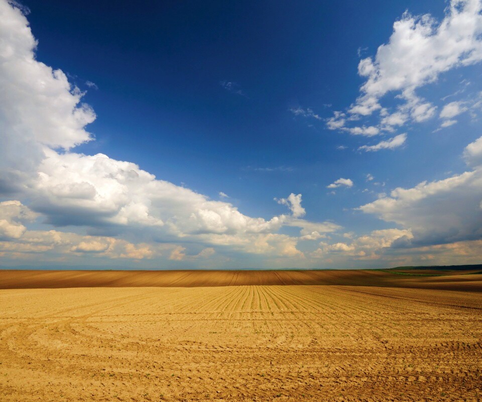 Незасеянное поле обои