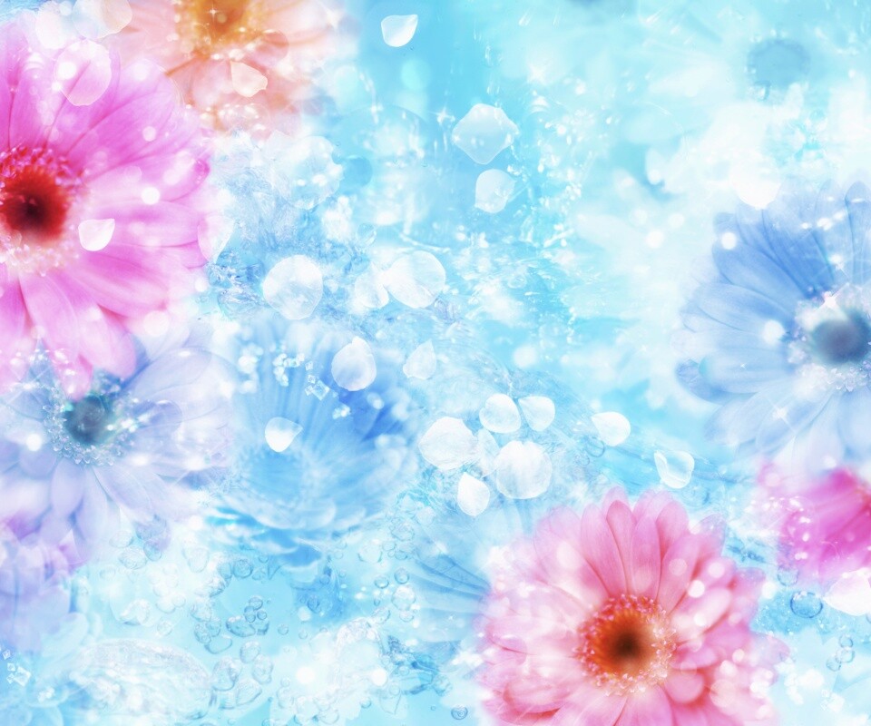 Цветочная эйфория обои