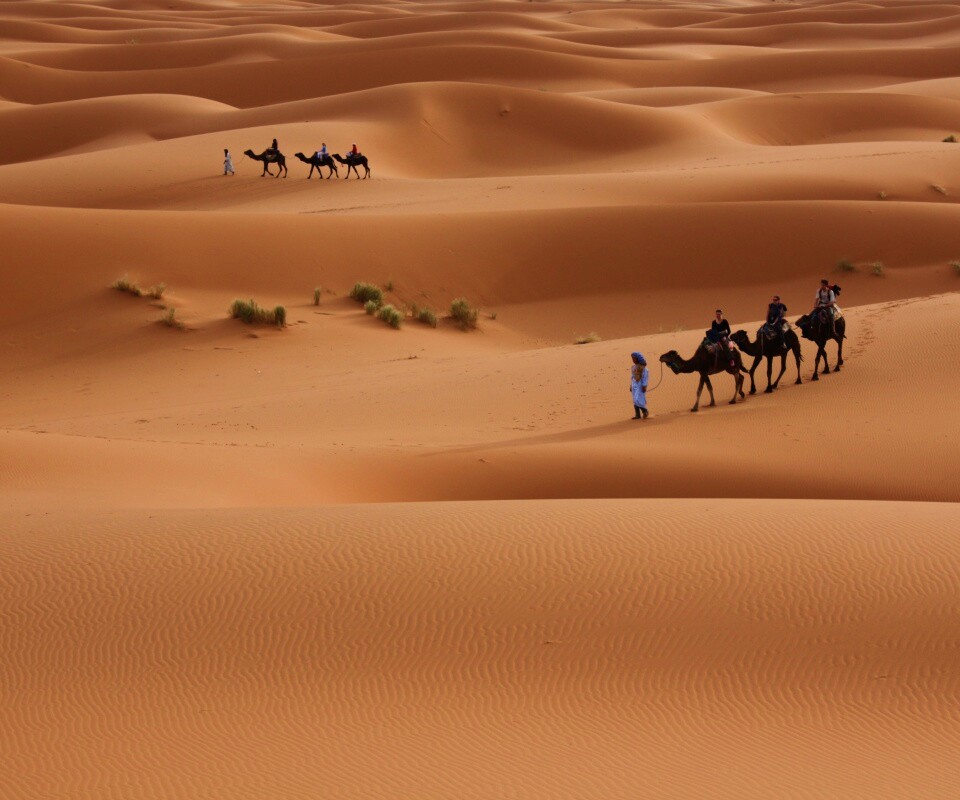 Караваны пустыни обои