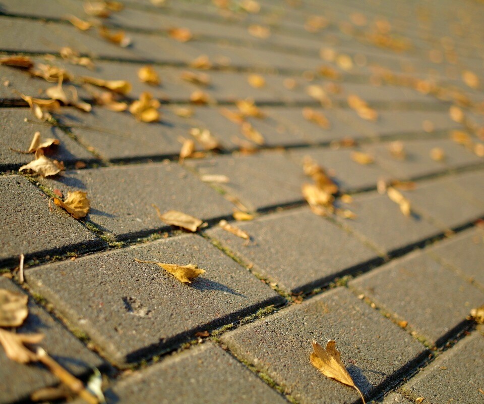 Тротуар обои